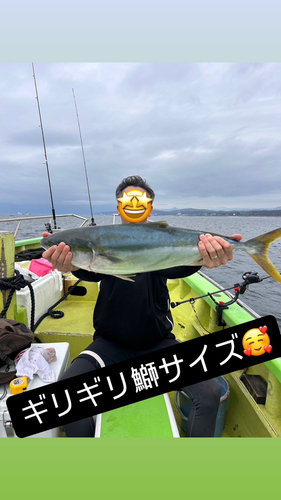 ブリの釣果