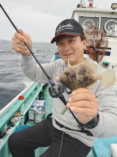 カワハギの釣果