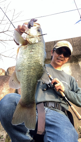 ブラックバスの釣果