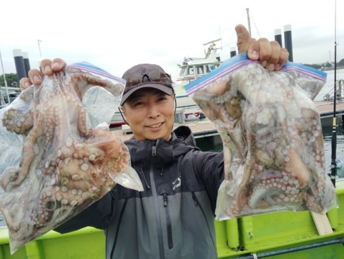 マダコの釣果