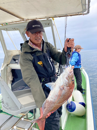 マダイの釣果