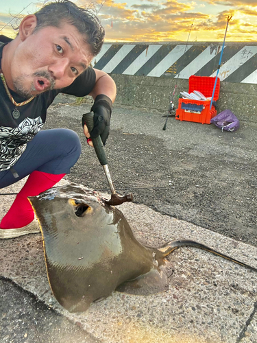 アカエイの釣果