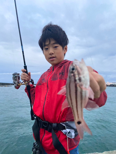 ネンブツダイの釣果