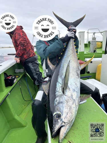 キハダマグロの釣果