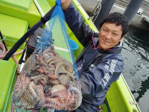 マダコの釣果