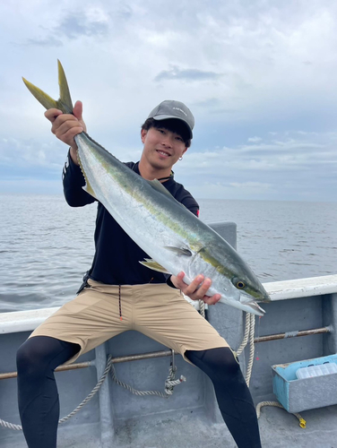 ブリの釣果