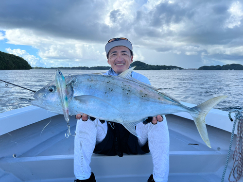 ナンヨウカイワリの釣果