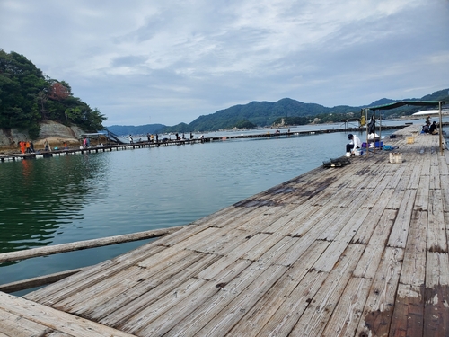 シマアジの釣果