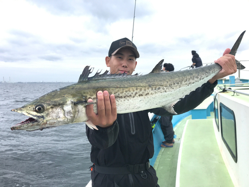 サワラの釣果