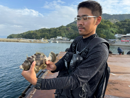 カワハギの釣果