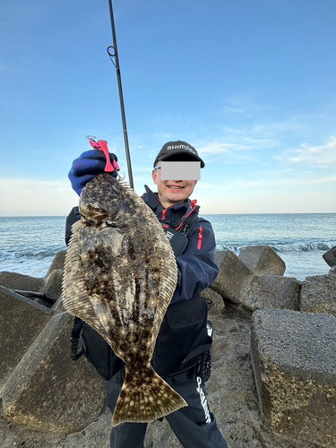 ヒラメの釣果