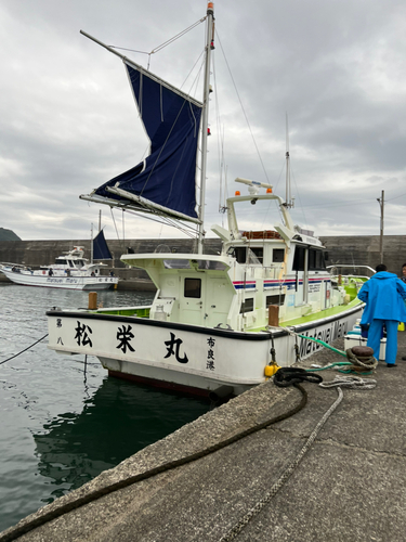 ゴマサバの釣果