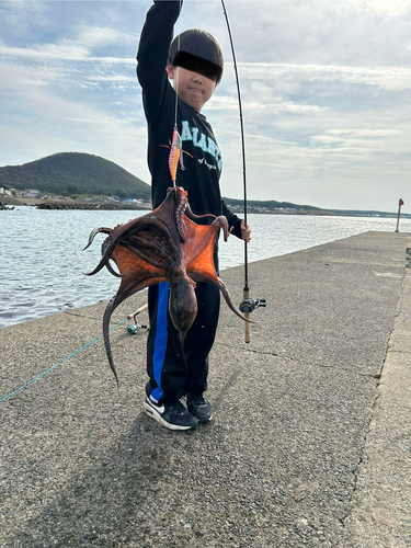 タコの釣果