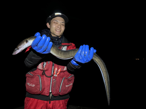 キリアナゴの釣果