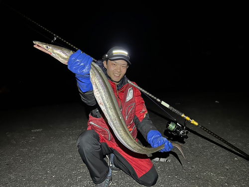 ハモの釣果