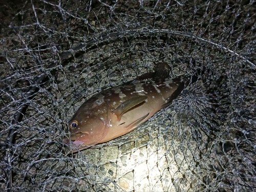 有田川河口