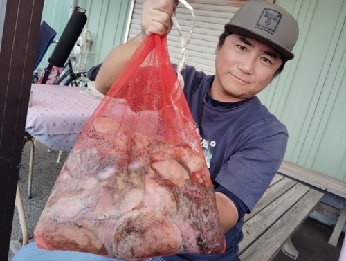 マダコの釣果