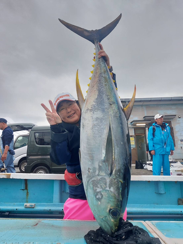 キハダマグロの釣果