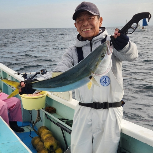 ブリの釣果