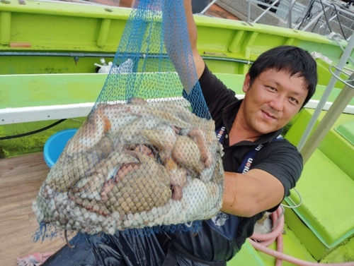 マダコの釣果