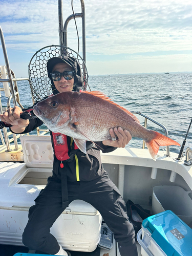 マダイの釣果