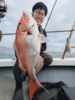 マダイの釣果