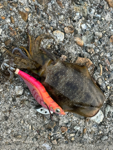 本荘人工島