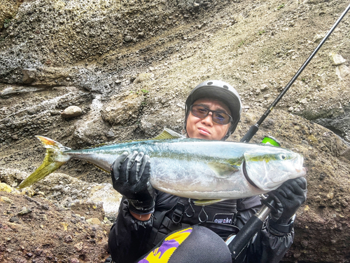 ワラサの釣果