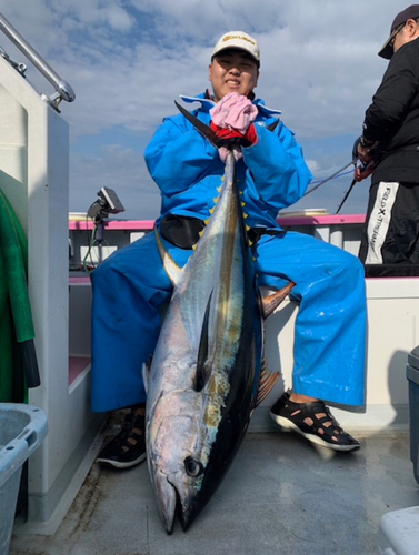 キハダマグロの釣果