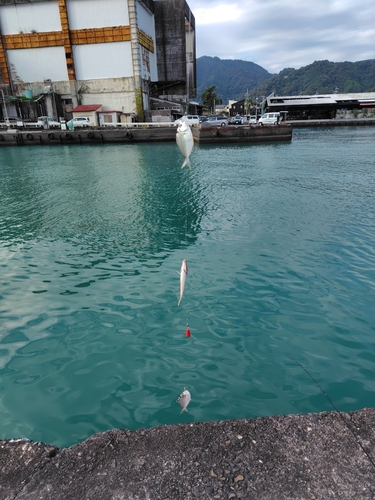 用宗広野海岸公園