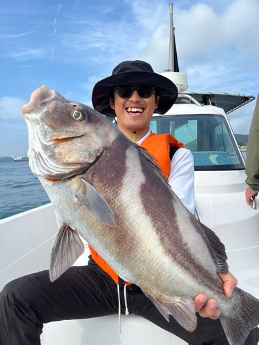 コロダイの釣果