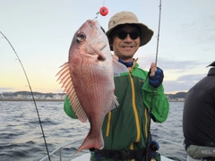 マダイの釣果