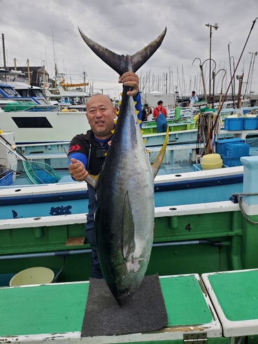 キハダマグロの釣果