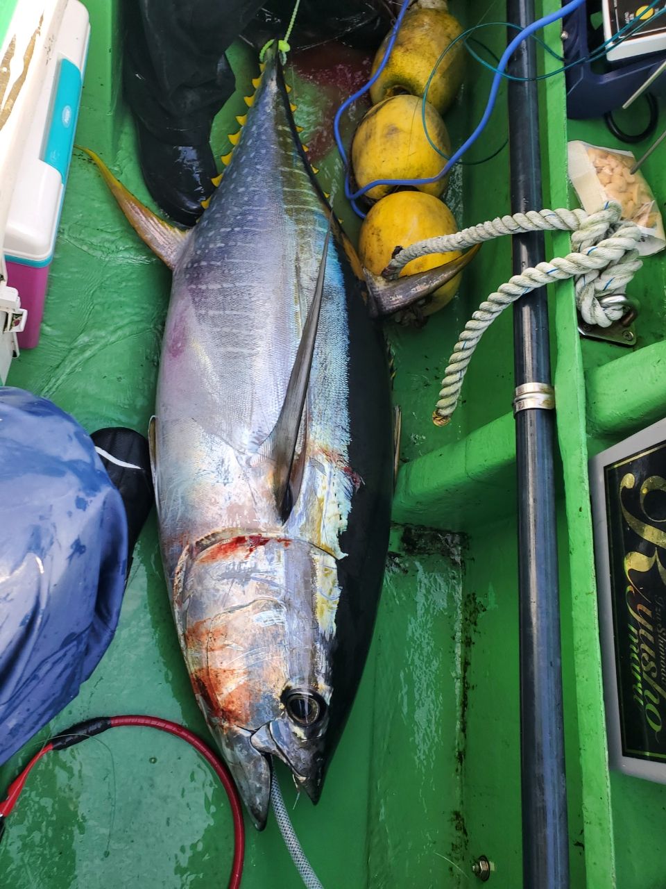 釣り×リーマンさんの釣果 3枚目の画像