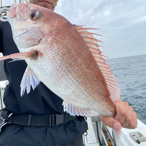 タイの釣果