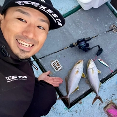 カンパチの釣果