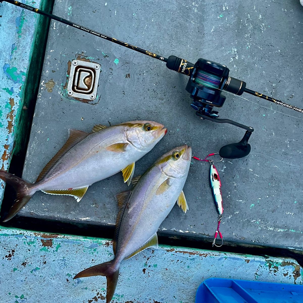 アッシー（H.ashihara）さんの釣果 2枚目の画像