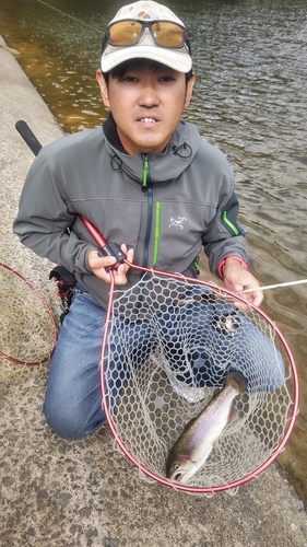 トラウトの釣果