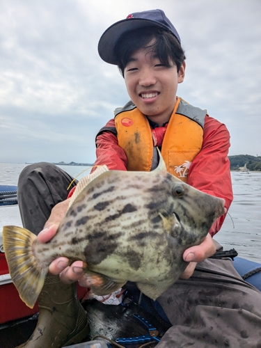 カワハギの釣果