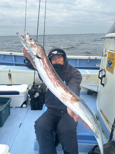 タチウオの釣果