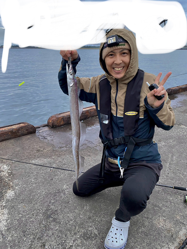 タチウオの釣果