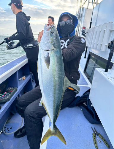 ワラサの釣果