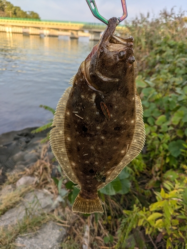 釣果