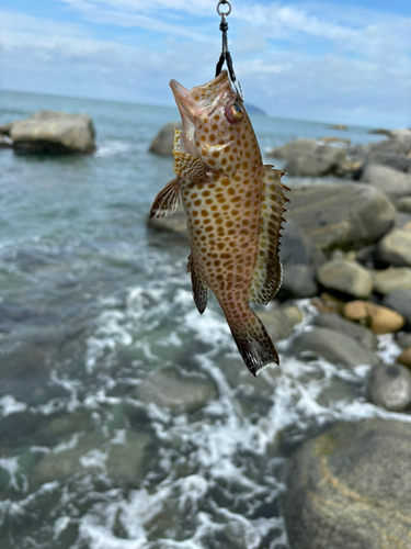 西浦漁港