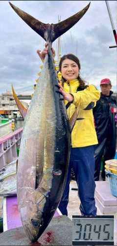 キハダマグロの釣果