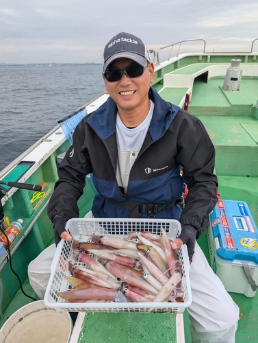 ヤリイカの釣果