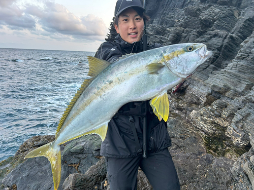 ヒラマサの釣果