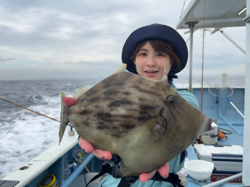 カワハギの釣果