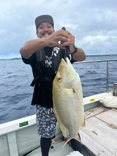 タマンの釣果