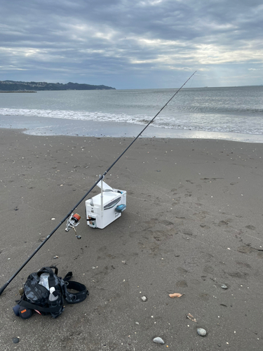 シタビラメの釣果